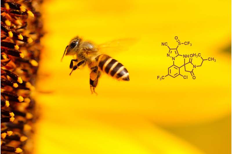 New insecticidal compounds remain effective against target species while reducing bee toxicity