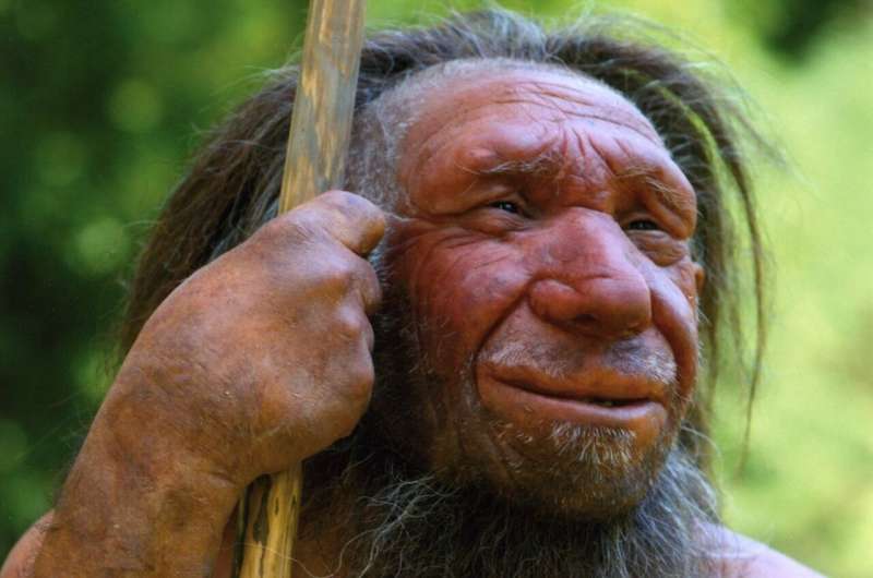New insights on Neanderthal cuisine. Plos One has just published a study that sums up twenty years of archaeological excavations with a striking conclusion: Neanderthals were as intelligent as Homo sapiens