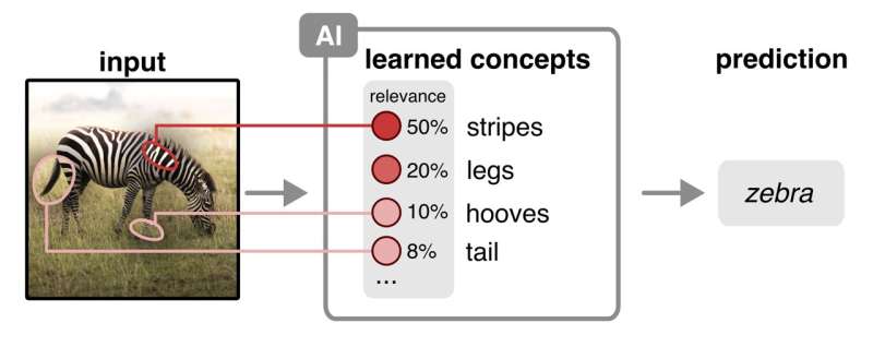 Study presents new method for explainable AI
