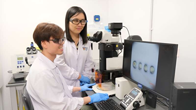 New method of cultivating human norovirus using zebrafish embryo