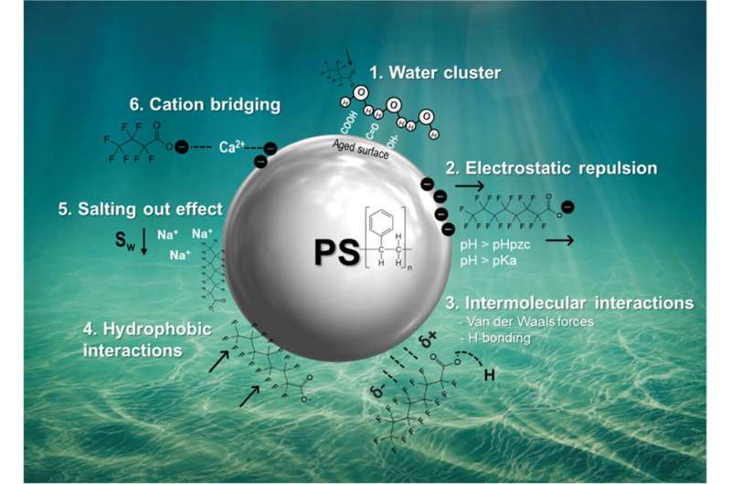 New model for predicting adsorption of PFAS by microplastics