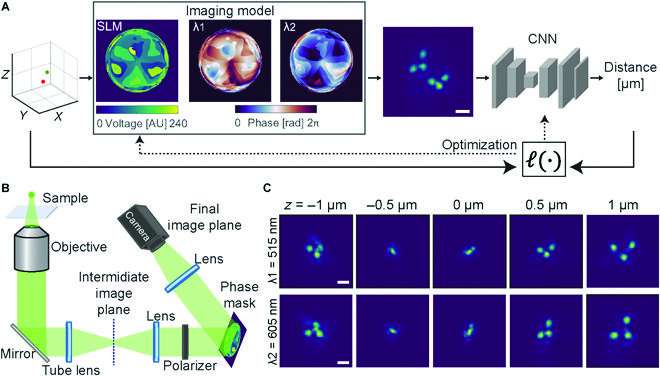 New neural network method improves microscopic distance measurements between colored points in three dimensions