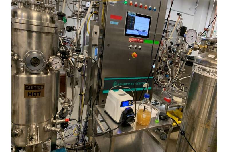 New pipeline makes valuable organic acid from plants — saving money and emissions
