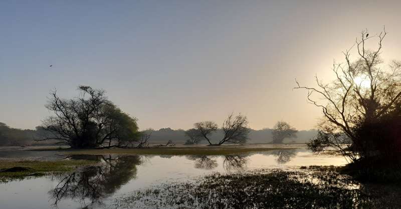 New report on state of conservation at World Heritage Site in India