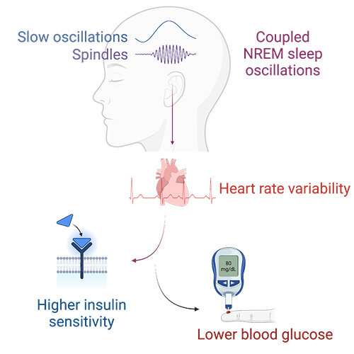New research finds deep-sleep brain waves predict blood sugar control