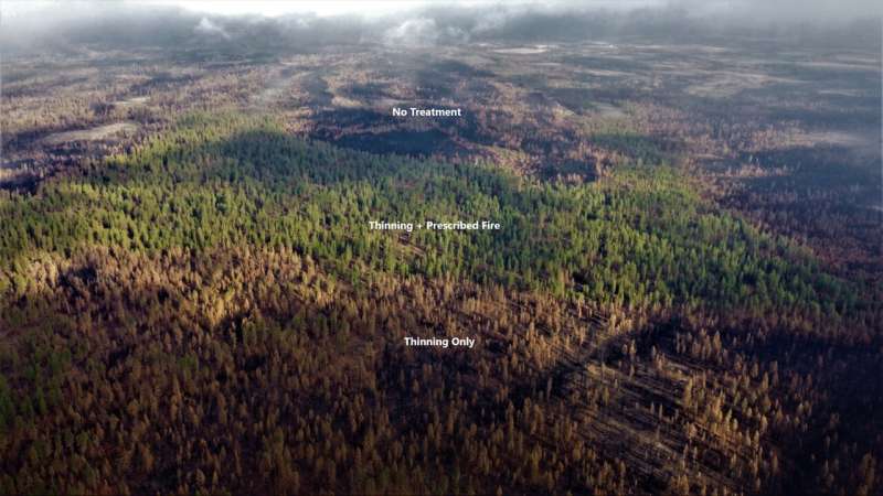 New research highlights opportunities to protect carbon and communities from forest fires