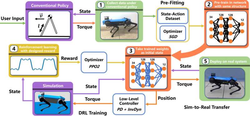 New research revolutionizes quadruped bounding with efficient learning method