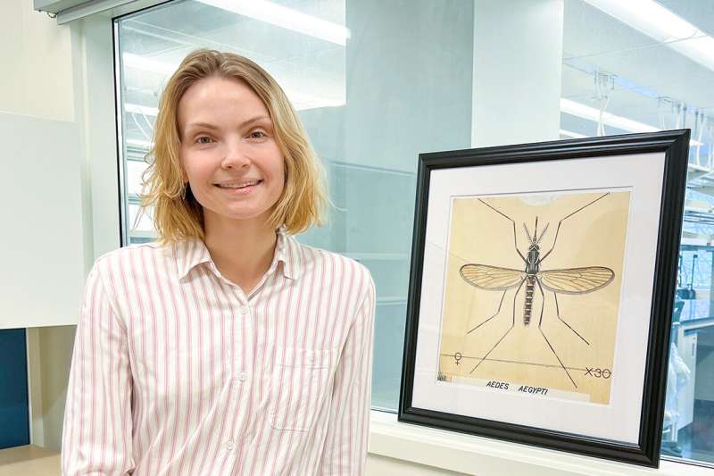 New research tool tackles deadly mosquito-borne diseases