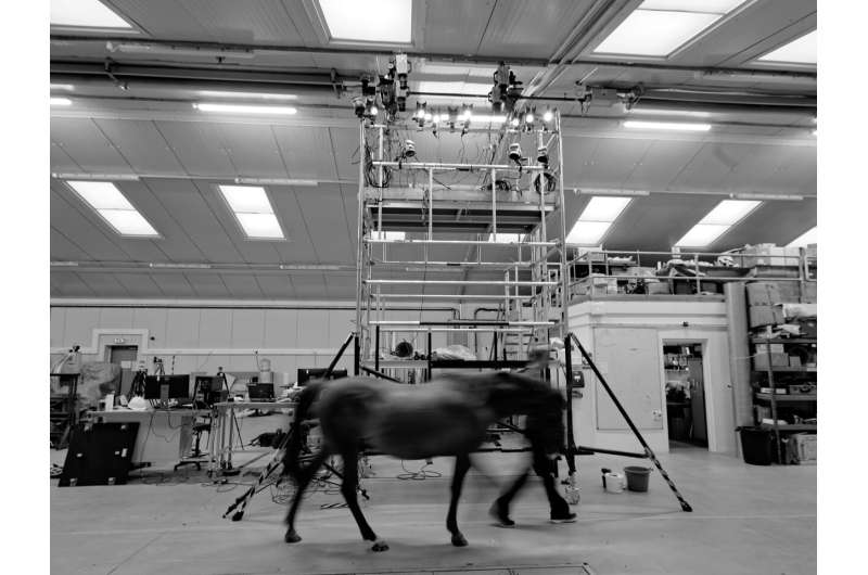 New saddle-mapping tech can reduce back pain for horses