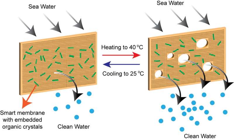 New self-cleaning membranes developed by NYU Abu Dhabi researchers dramatically improve the efficiency of desalination technologies