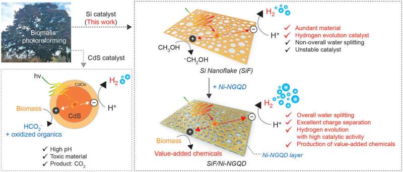 New Si-based photocatalyst enables efficient solar-driven hydrogen production and biomass refinery