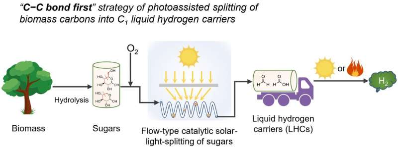 New strategy enables stepwise photo-assisted decomposition of carbohydrates to hydrogen