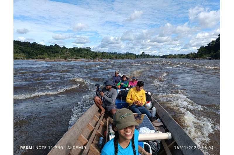 New study examines historical drought and flooding on the Amazon River