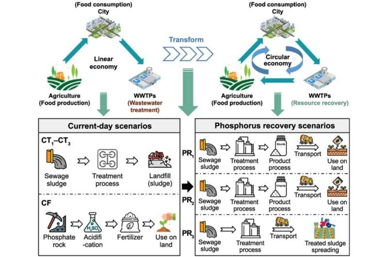 New study explores phosphorus recovery from sewage sludge in China for environmental sustainability and cost analysis