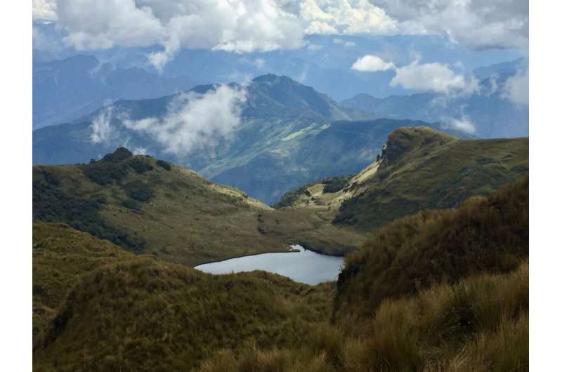 New Study Finds Warming, Burning by Humans Altered Andean Ecosystems