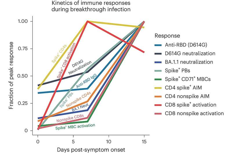 New study on immune response to COVID breakthrough infections