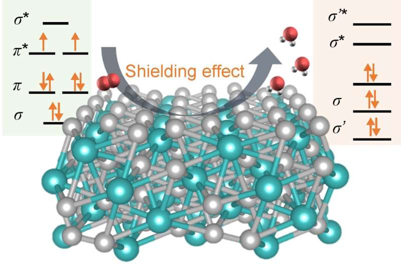 New study reveals remarkable impact of intrinsic spin shielding in platinum-rare earth alloys on electrocatalysis, paving the wa