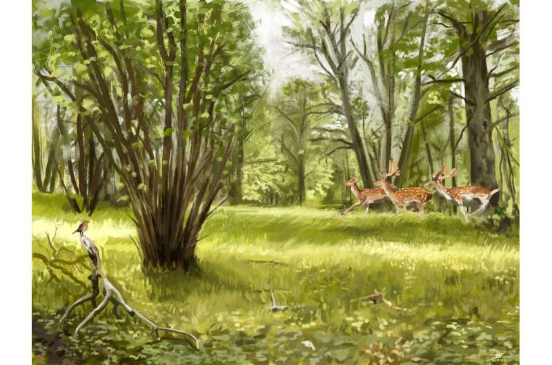 New study shows ancient Europe was not all forest, half was covered in grasslands