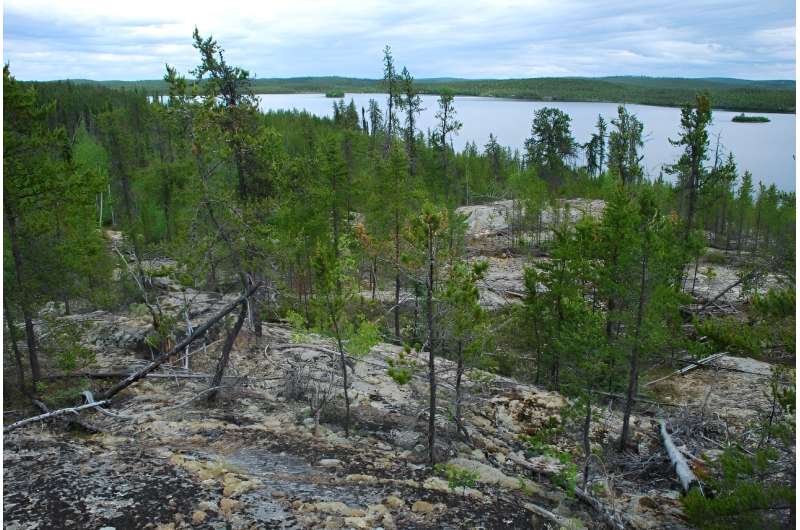 New study shows surprising effects of fire in North America's boreal forests