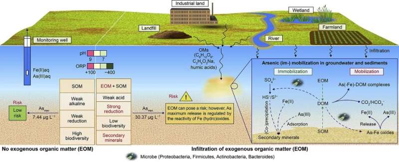 New study uncovers potential risk of arsenic release from sediment under organic matter influence