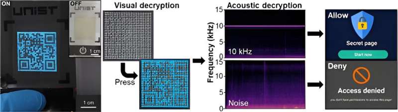 New study unveils stretchable high-resolution user-interactive synesthesia displays for visual–acoustic encryption