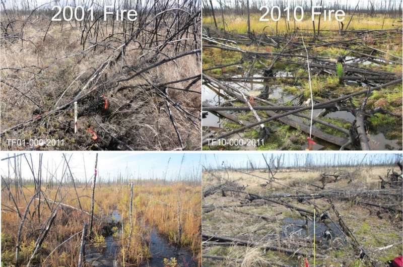 New technique maps large-scale impacts of fire-induced permafrost thaw in Alaska
