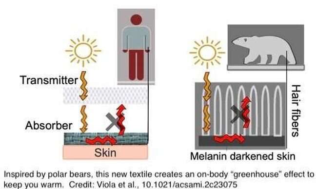 New textile unravels warmth-trapping secrets of polar bear fur