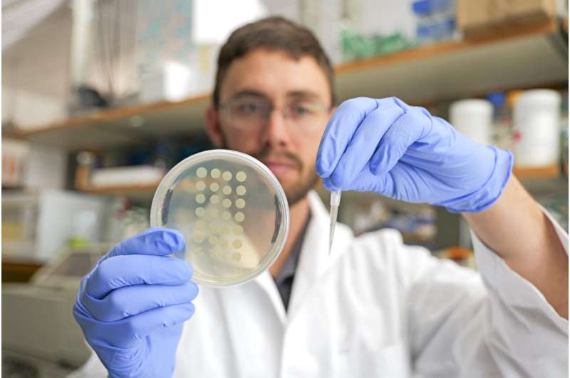 New way to count microbes speeds research, cuts waste, could lead to new antibiotics