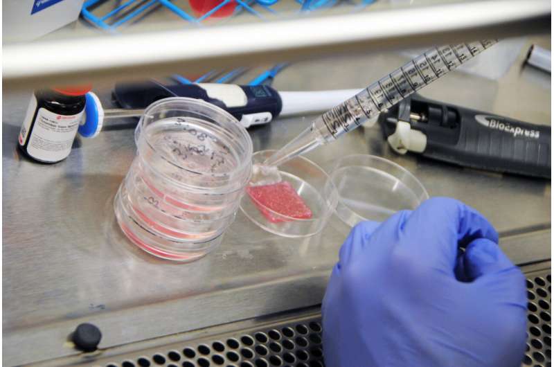 New wound healing research by Wake Forest Institute for Regenerative Medicine produces full thickness human bioprinted skin