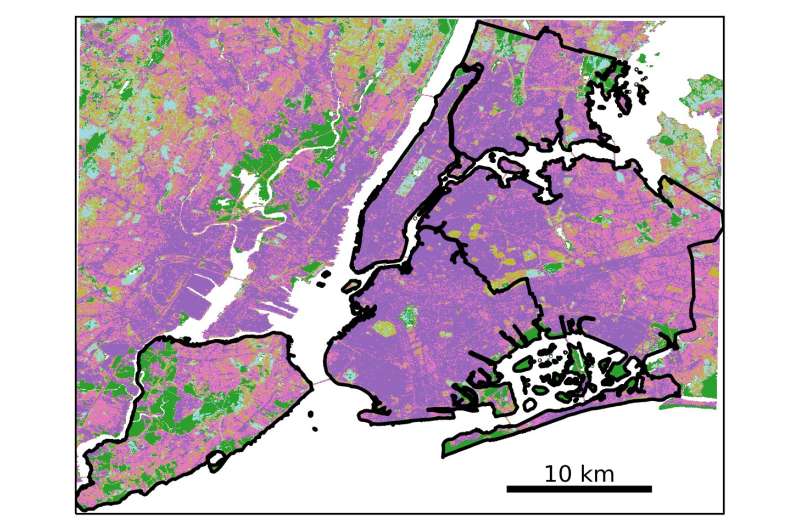 New York City's greenery absorbs a surprising amount of its carbon emissions