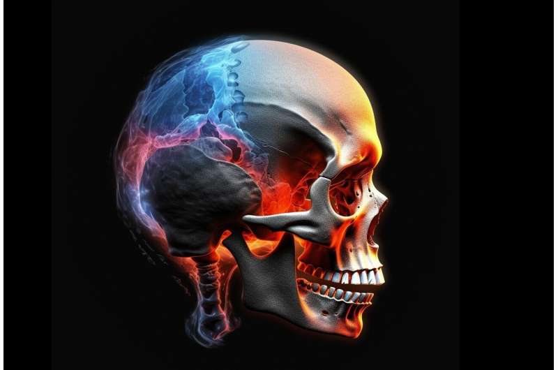 Newly discovered bone stem cell causes premature skull fusion