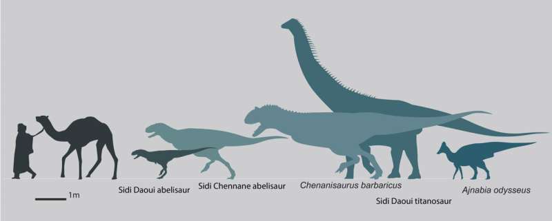 Newly discovered, primitive cousins of T rex shed light on the end of the age of dinosaurs in Africa