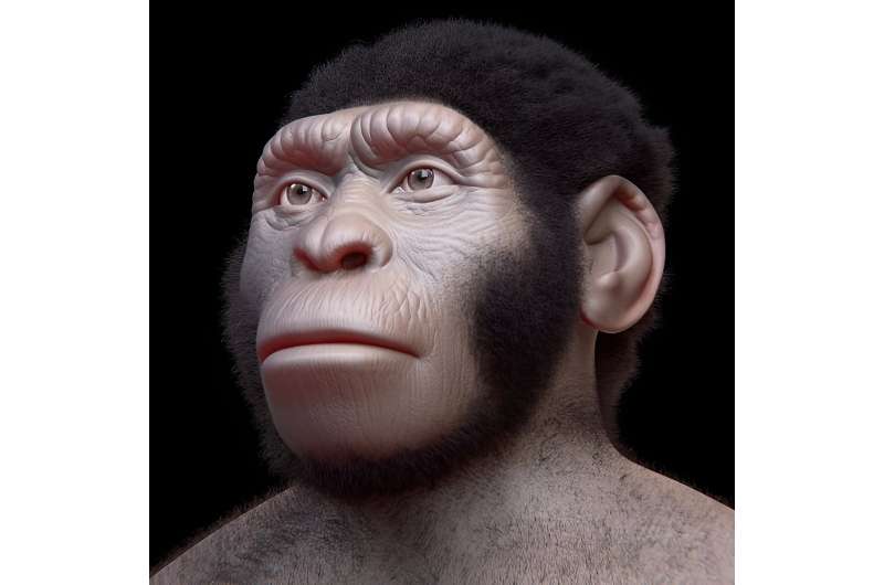 No scientific evidence that Homo naledi was advanced