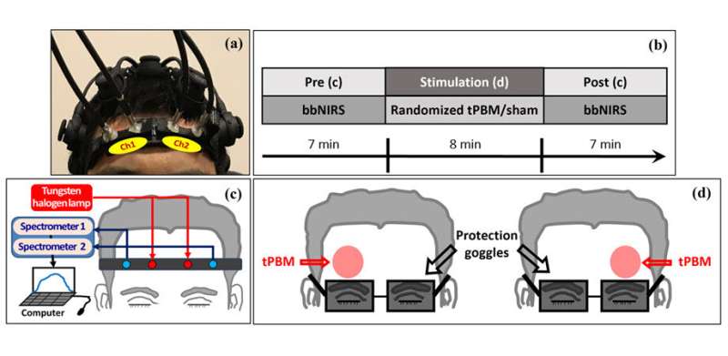 Noninvasive modulation of brain hemodynamic and metabolic states by near-infrared light
