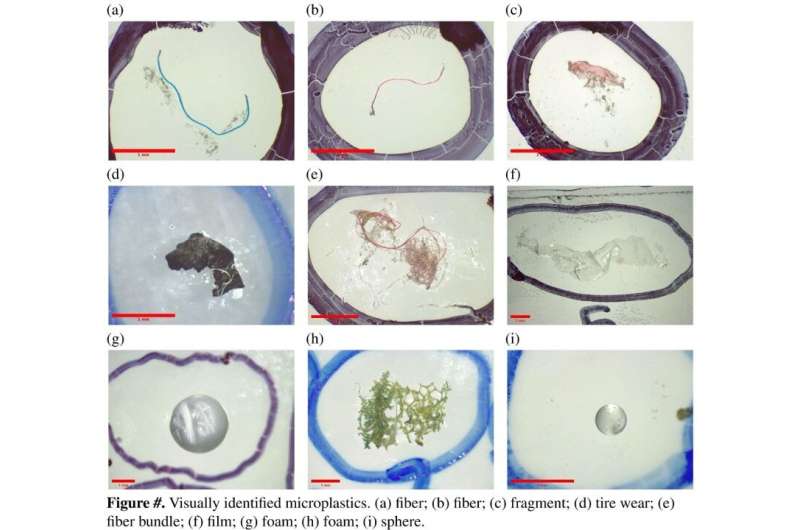 Not such small things: Microplastics in our streams