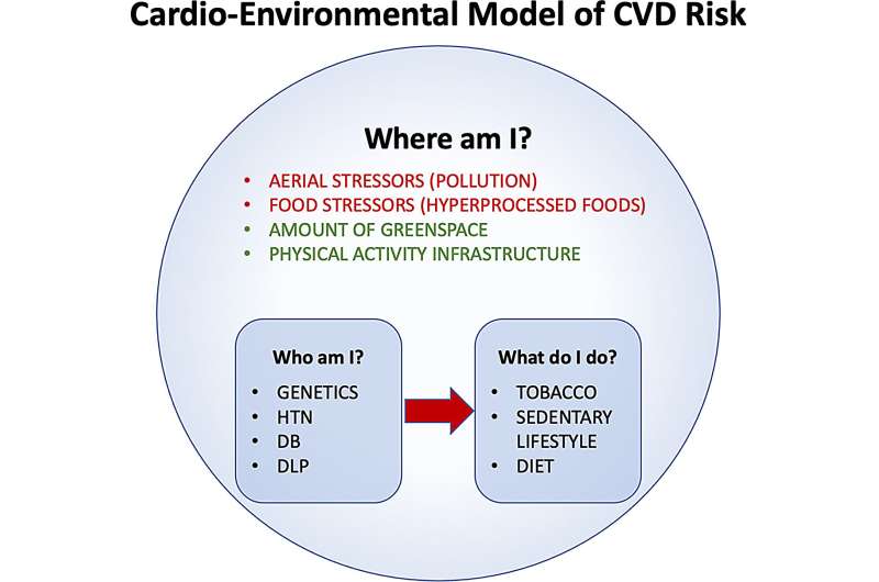 Noted experts present detailed evidence on the impact of environmental issues on cardiovascular health