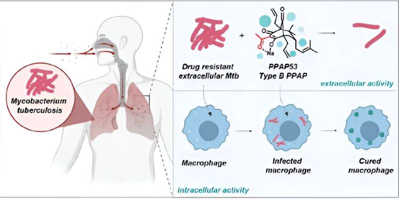 Novel compounds promise success in the fight against tuberculosis and depression