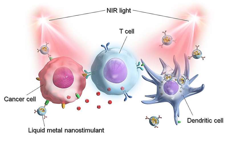 Novel liquid metal nanoparticles for cancer photoimmunotherapy