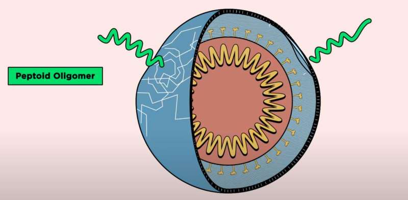 Novel molecules fight viruses by bursting their bubble-like membranes