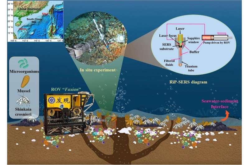 Novel probe helps to detect deep sea biological macromolecules