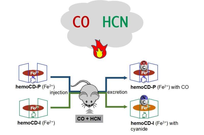 Novel synthetic porphyrin as a dual antidote against fire gas poisoning