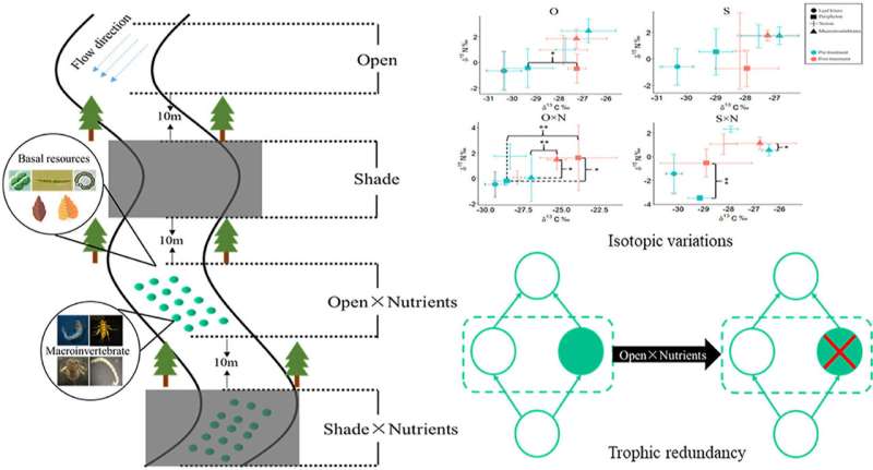 Nutrient enrichment with open canopy decreases trophic redundancy in stream food webs