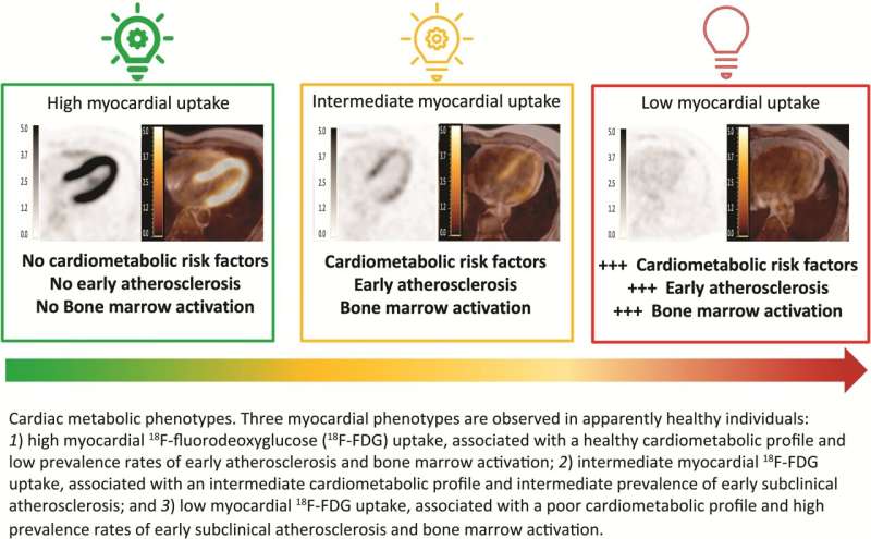 Obesity, high blood pressure and lipid imbalance trigger progressive loss of energy generation capacity in the heart