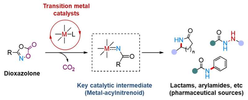 Observing the long-postulated intermediate of catalytic amination reactions