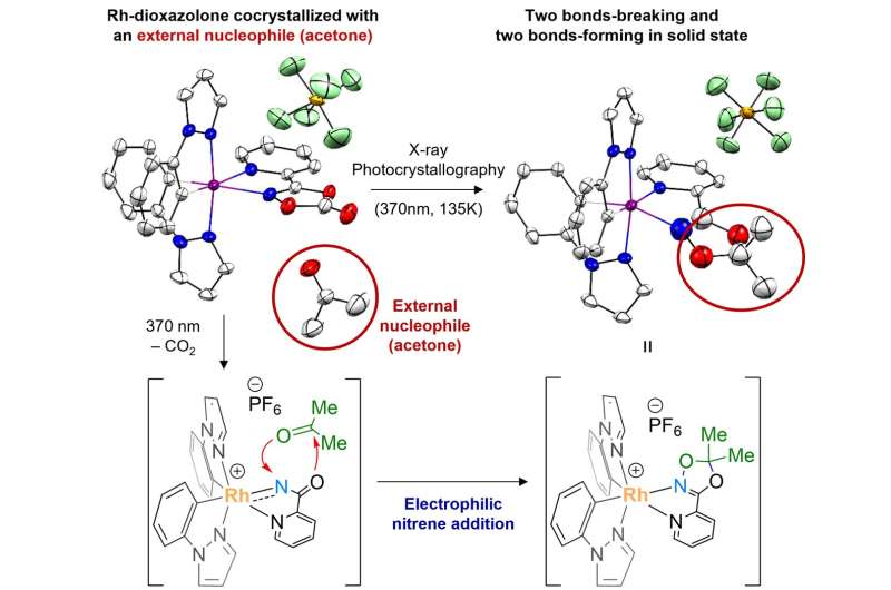 Observation of a long postulated intermediate in catalytic amination reactions