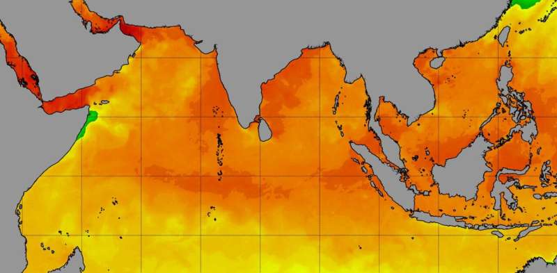 Ocean heat is off the charts—here's what that means for humans and ecosystems around the world