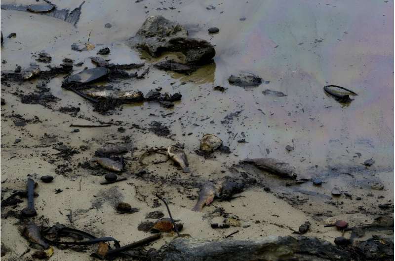 Oil sludge is seen on a beach near the El Palito oil refinery in Venezuela's Carabobo state on December 27, 2023