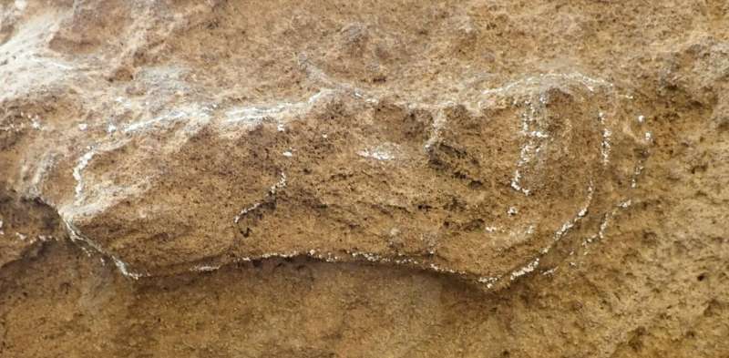 Oldest ever Homo sapiens footprint is found, pushing the record back by 30,000 years