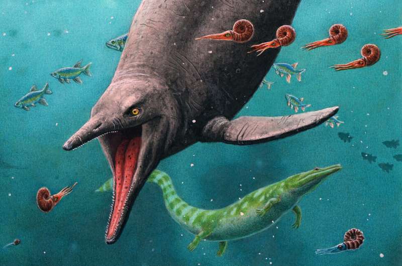 Oldest sea reptile from age of dinosaurs found on arctic island