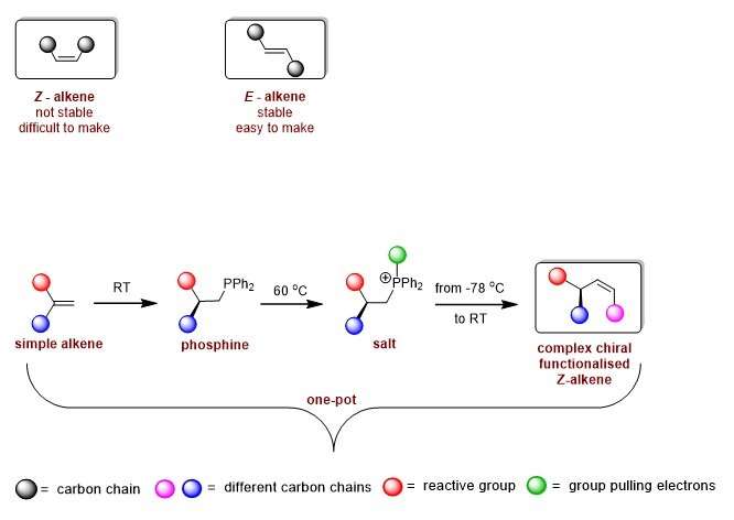 One pot reaction creates a versatile building block for bioactive molecules
